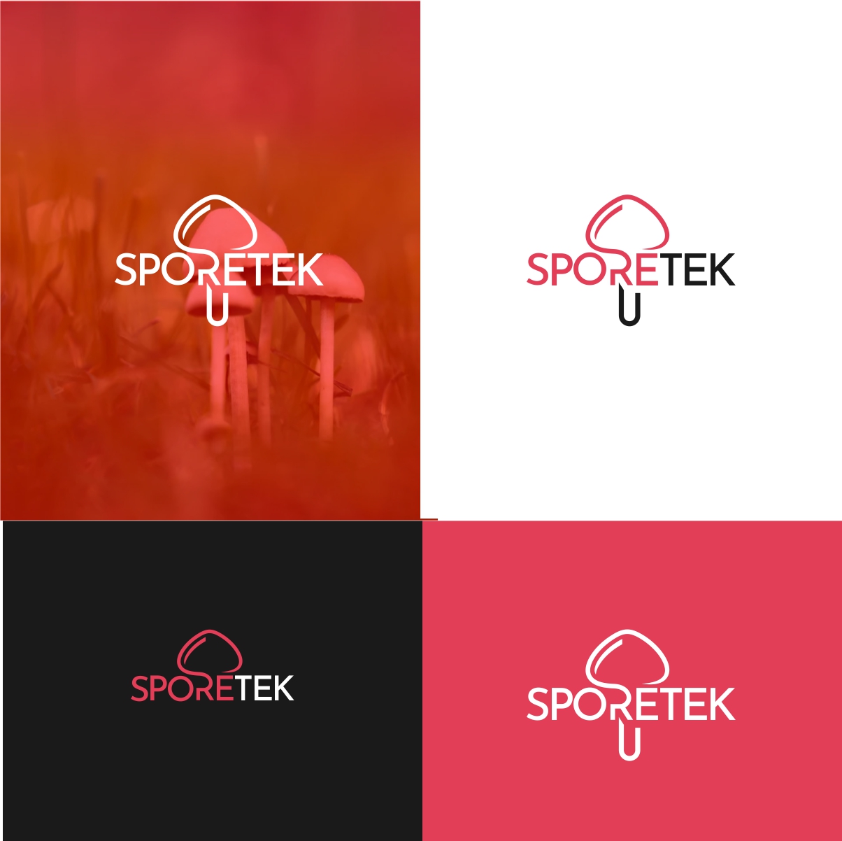 Logo Design by Loknath for this project | Design #31836471
