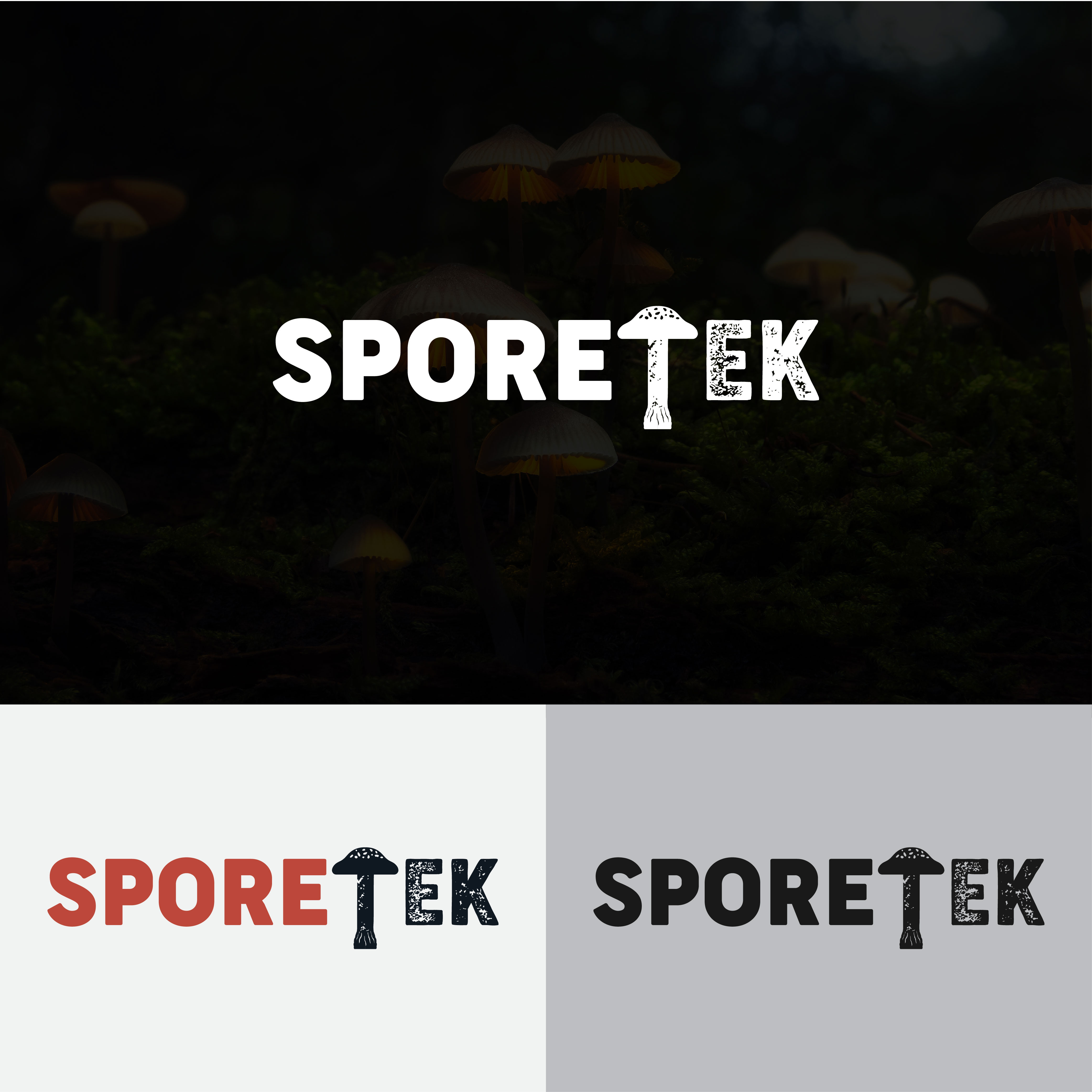Logo Design by Artonem for this project | Design #31862672