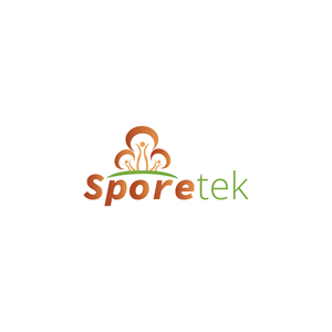Logo Design by Chowdhury Fateha Elahi 2023