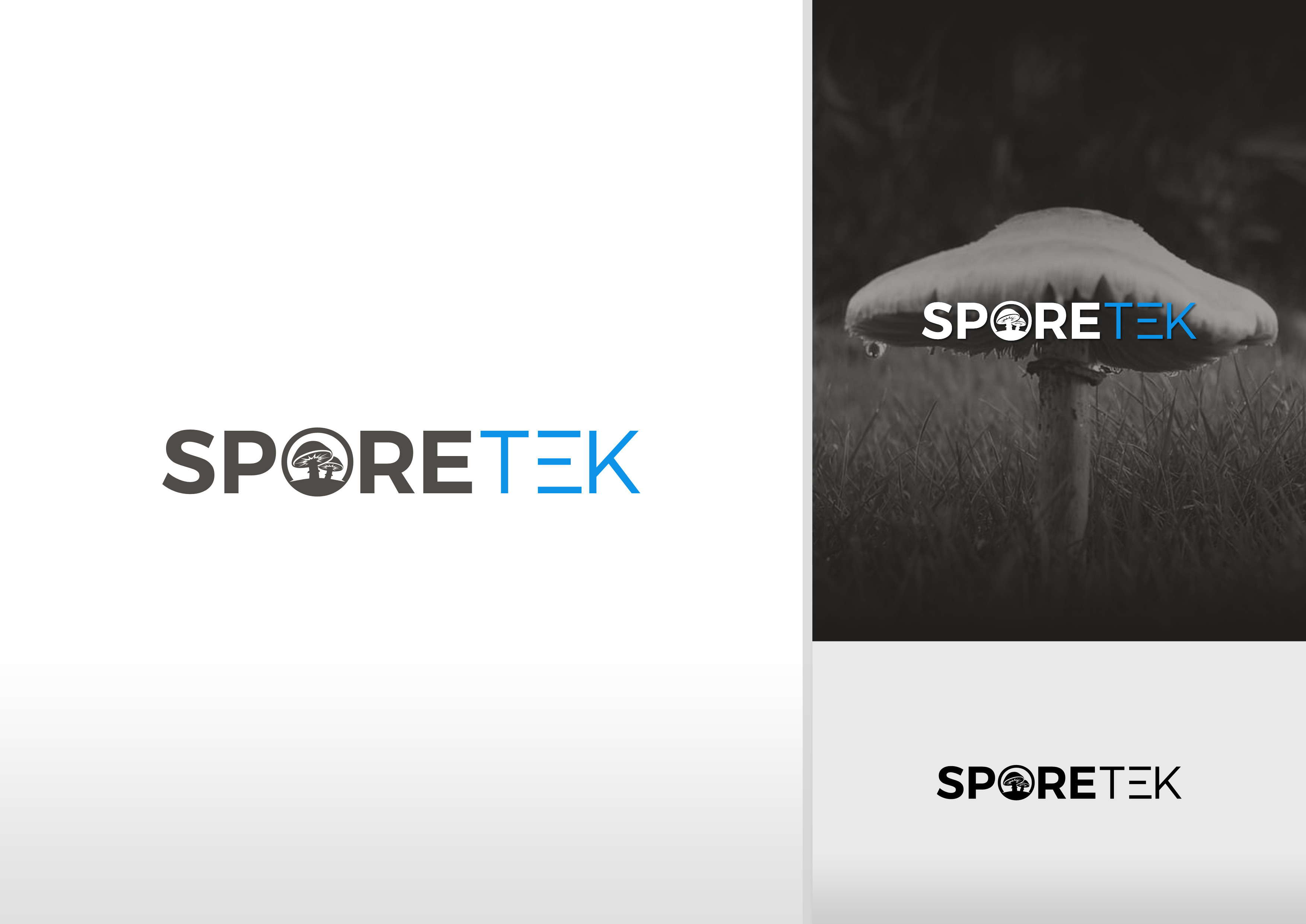 Logo-Design von DoveFendi für dieses Projekt | Design #31832140