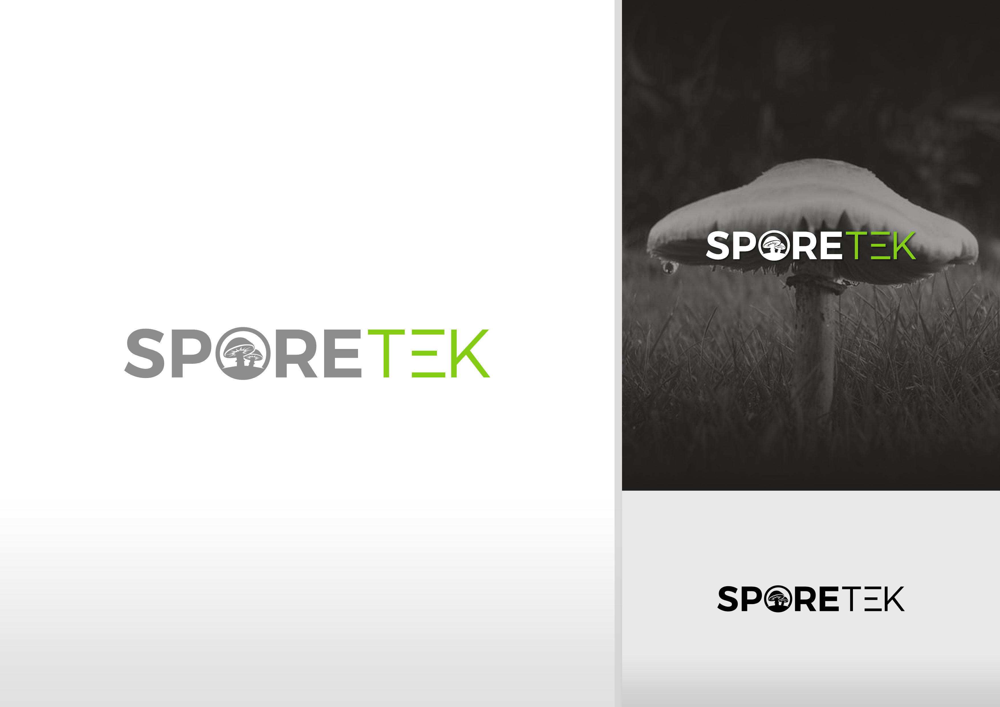 Diseño de Logo por DoveFendi para este proyecto | Diseño #31832146