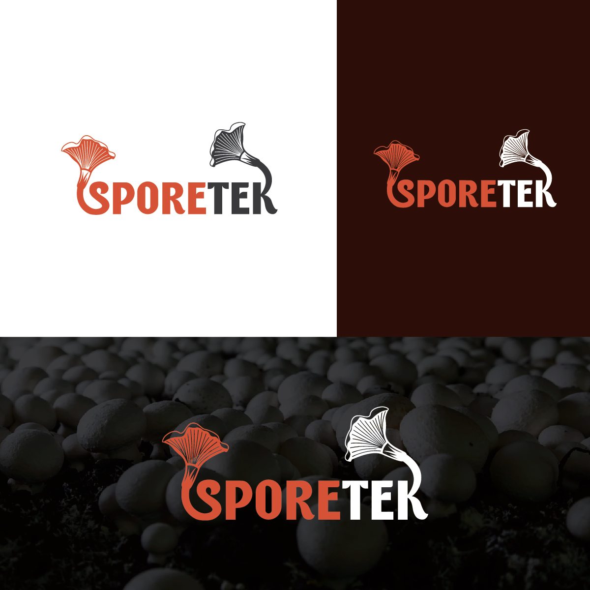 Diseño de Logo por Deziners Zone para este proyecto | Diseño #31828298