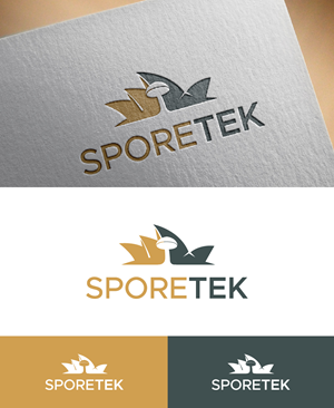 Logo Design by fly  design for this project | Design: #31829409