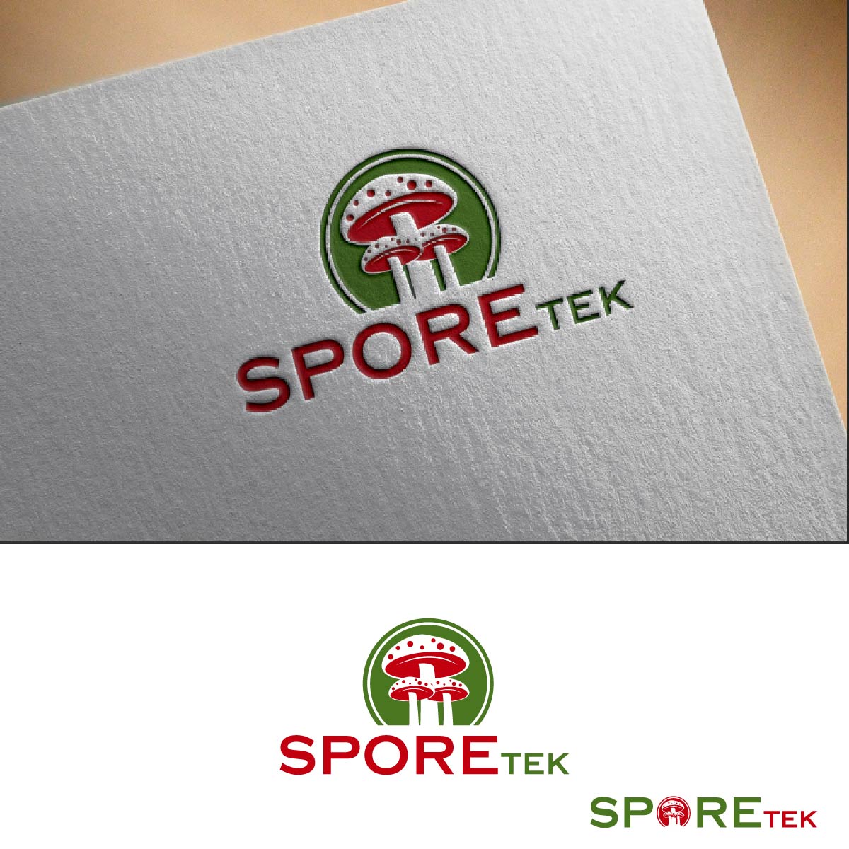 Logo Design by fly  design for this project | Design #31829411