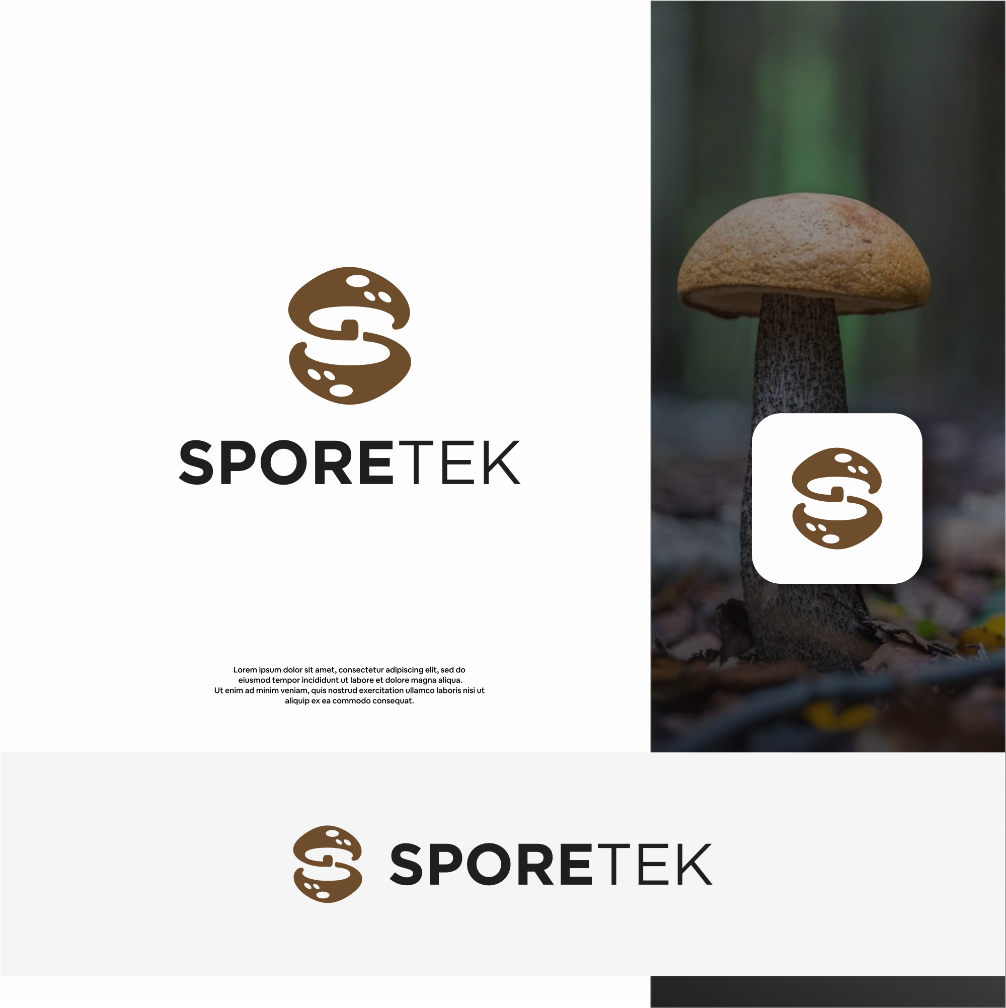 Logo Design by DesignFirst for this project | Design #31827048