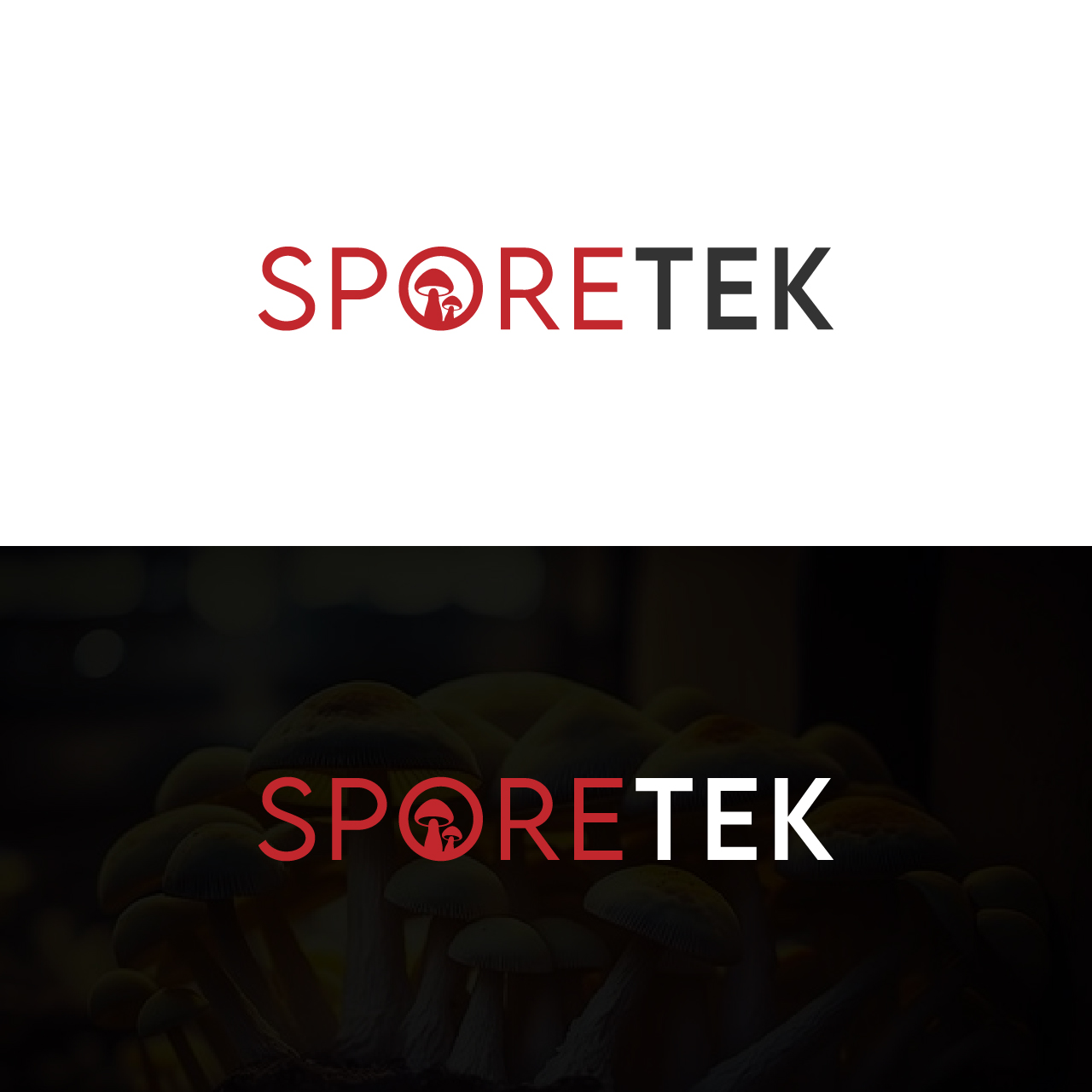 Logo Design by VinVick Design for this project | Design #31848099
