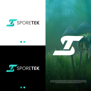 Logo Design by TULLUS STUDIO™