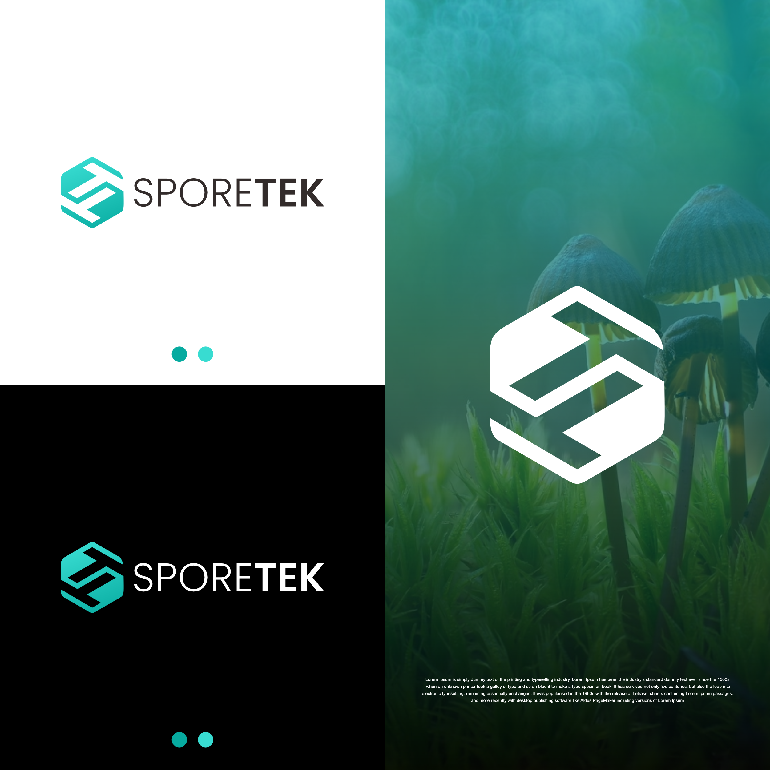 Logo-Design von TULLUS STUDIO™ für dieses Projekt | Design #31827377