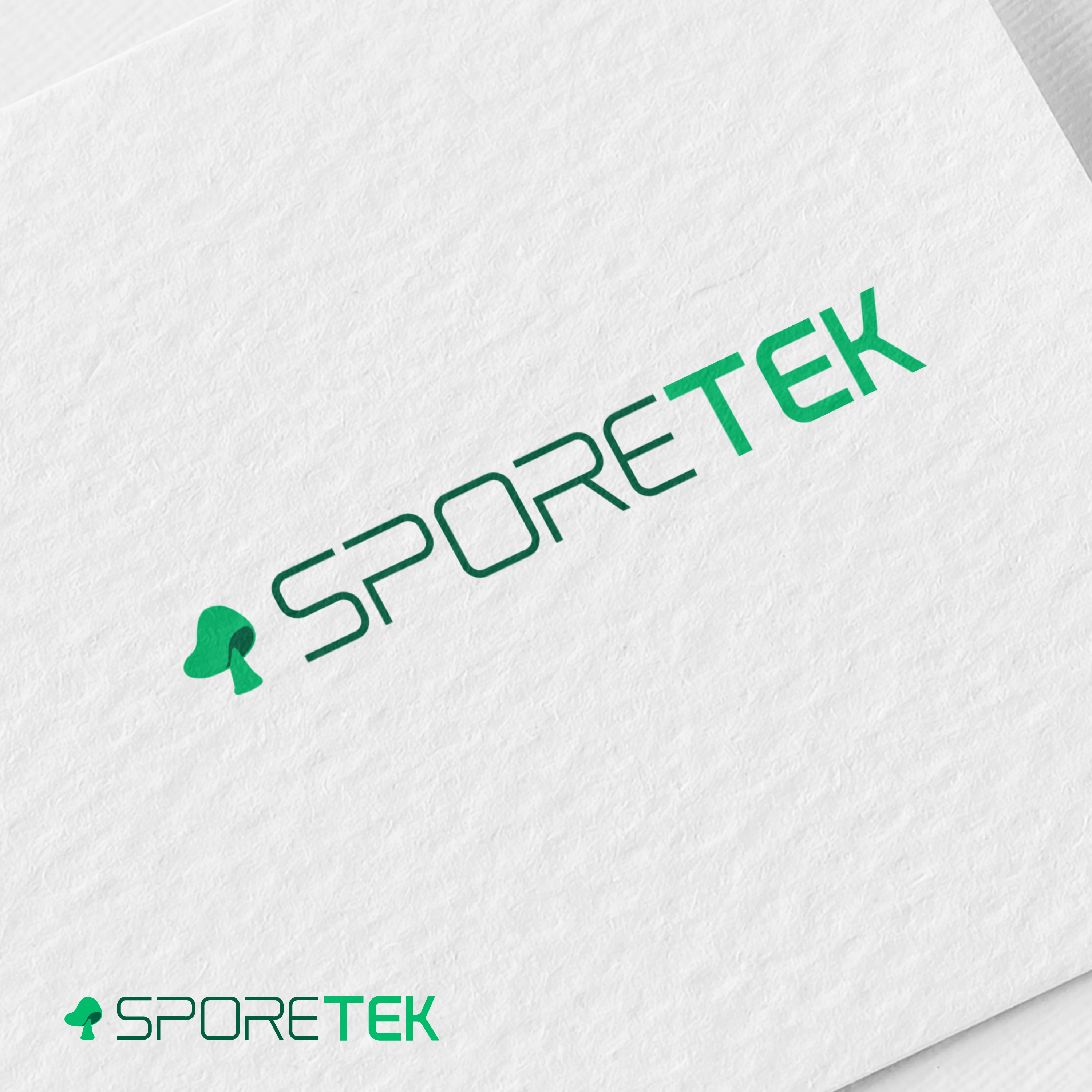 Logo Design by Ashraful 9 for this project | Design #31865209