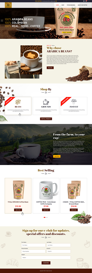 Web Design by NetSpidy