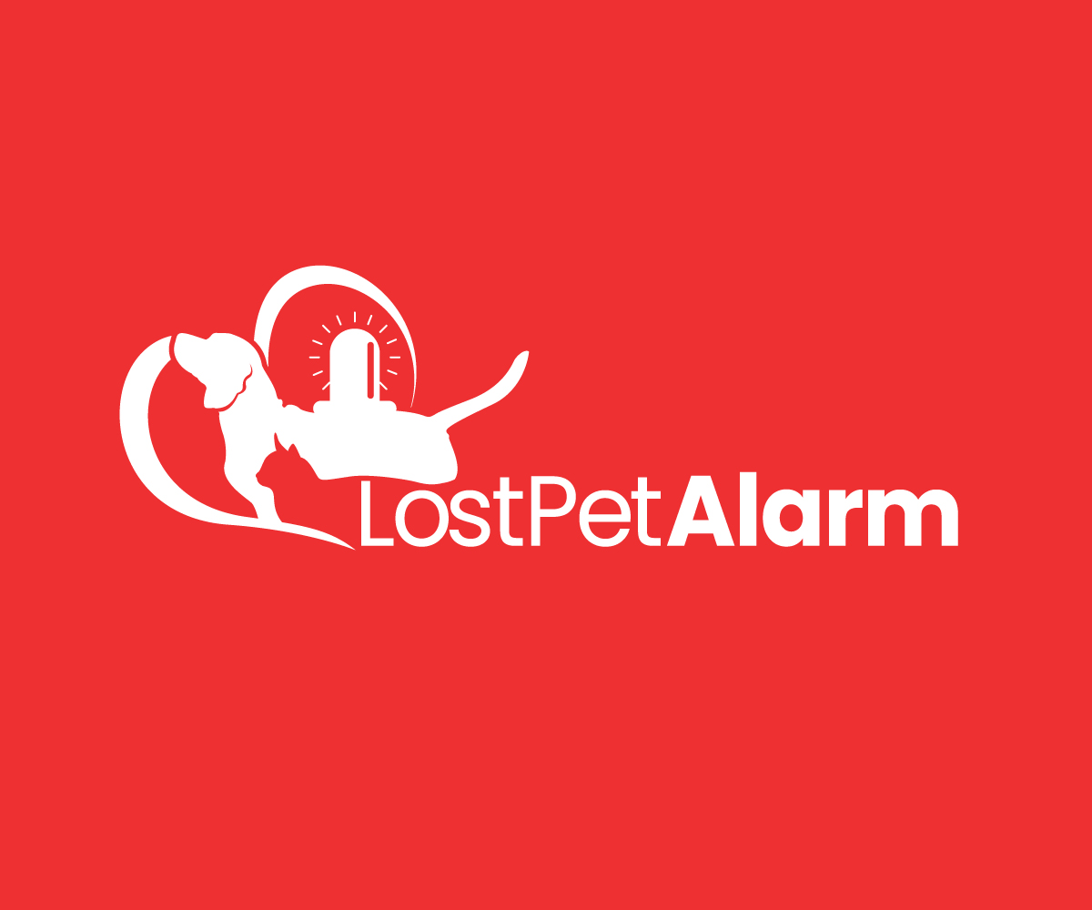 Logo Design by Paint-Tools for this project | Design #31858131