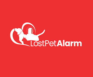 Diseño de Logo por Paint-Tools para este proyecto | Diseño #31858131