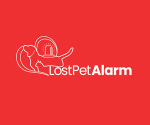 Logo Design by Paint-Tools for this project | Design: #31858132