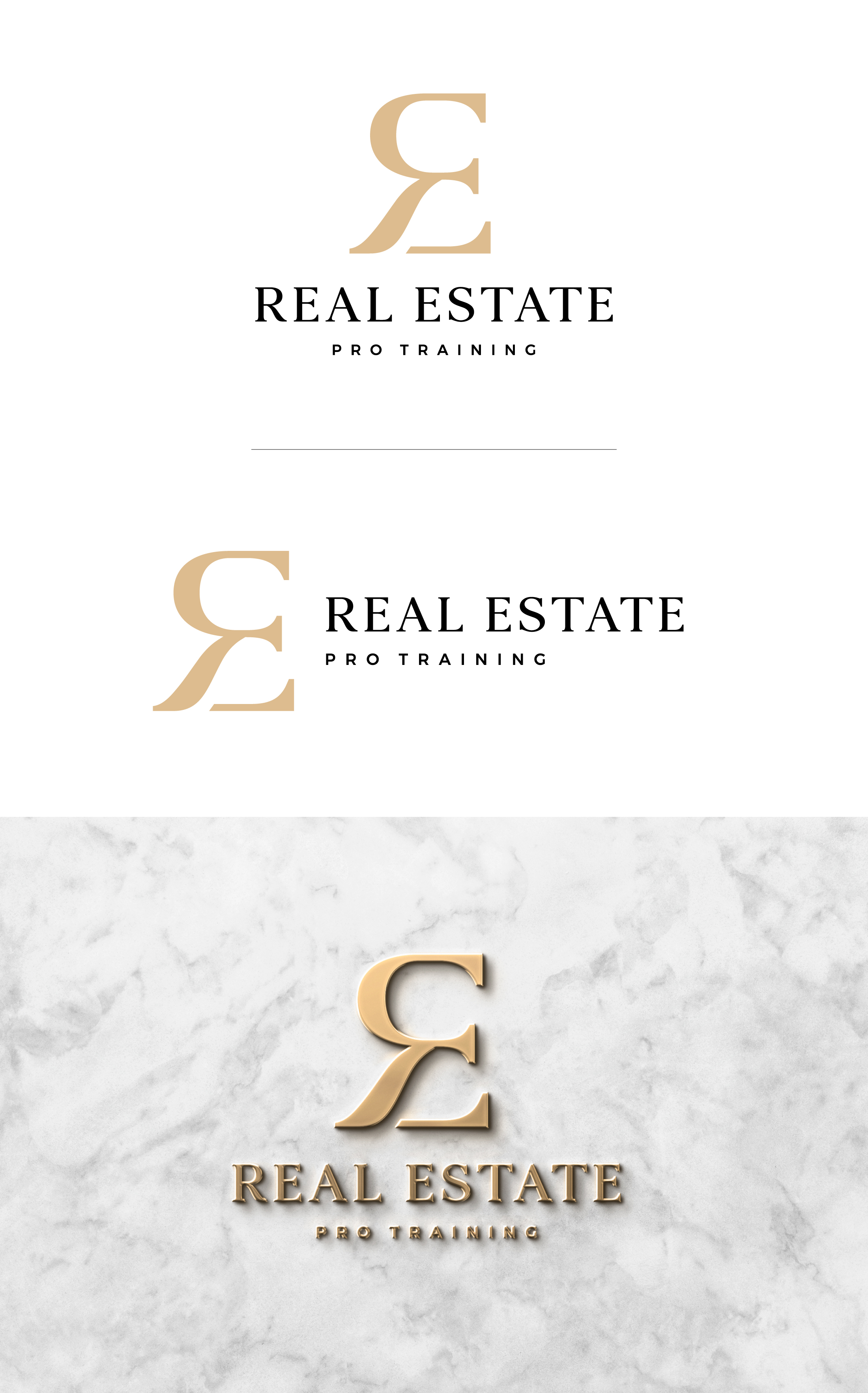 Logo Design by ChicGraphix for Real Estate Pro Training | Design #31884857