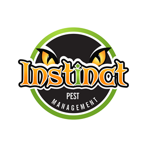 Logo Design by Krold IT Solutions for this project | Design: #31883739
