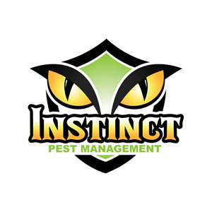 Logo Design by Krold IT Solutions for this project | Design: #31884328