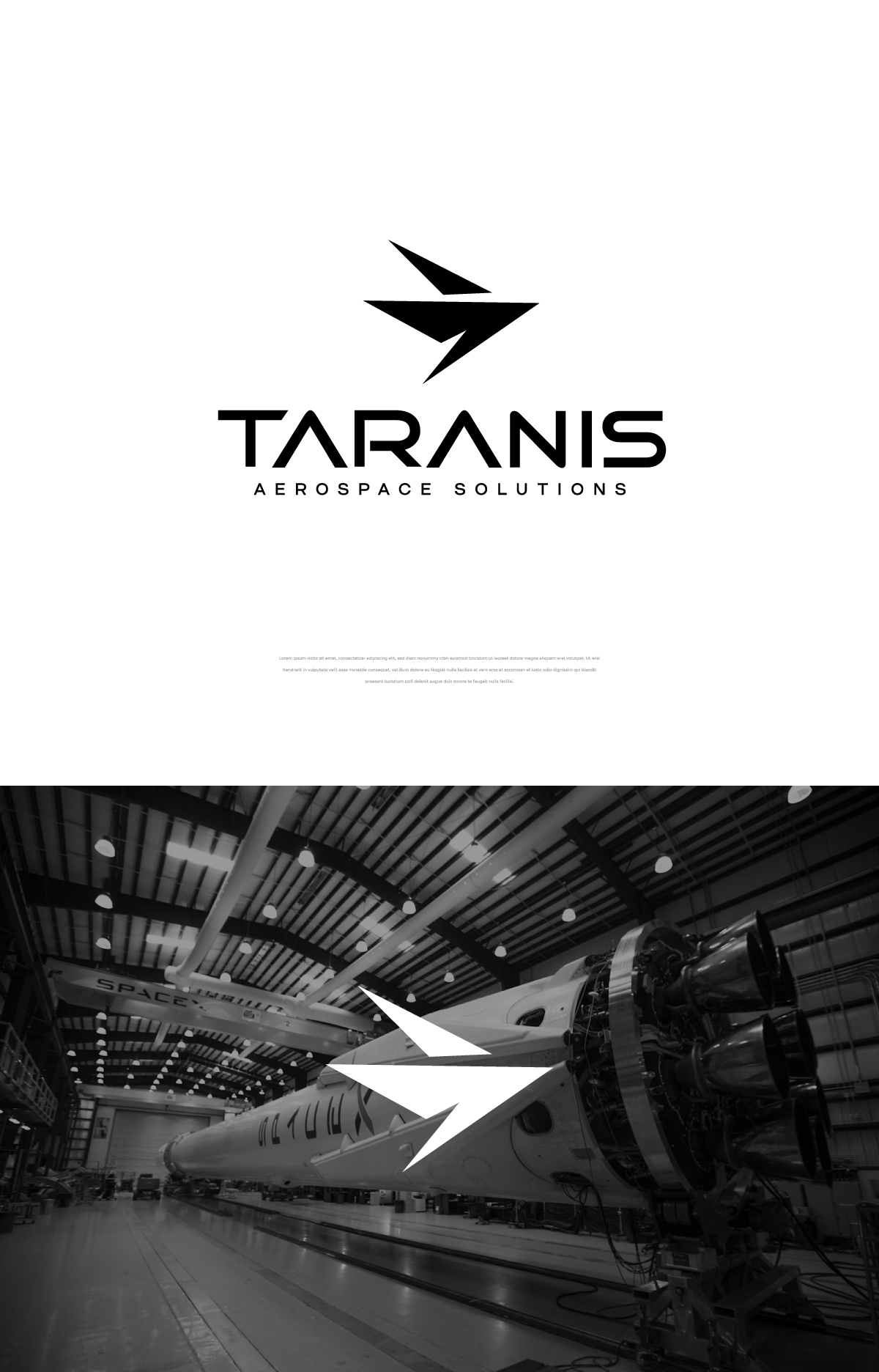 Logo Design by apik. for Taranis Aerospace Solutions | Design #31853108