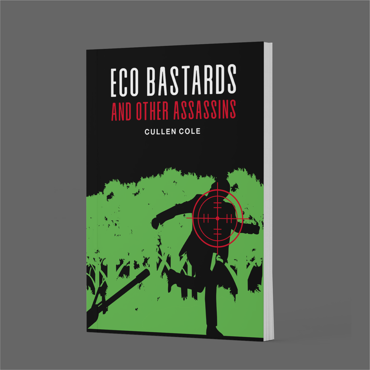 Book Cover Design by ThiagoB for this project | Design #31867986