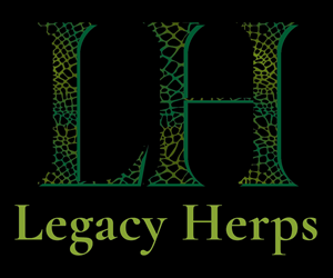 Logo Design by Tahaw