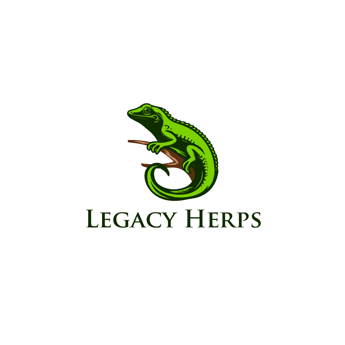 Logo Design by Elrich for this project | Design #31864203