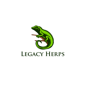 Logo-Design von Elrich für dieses Projekt | Design: #31864203