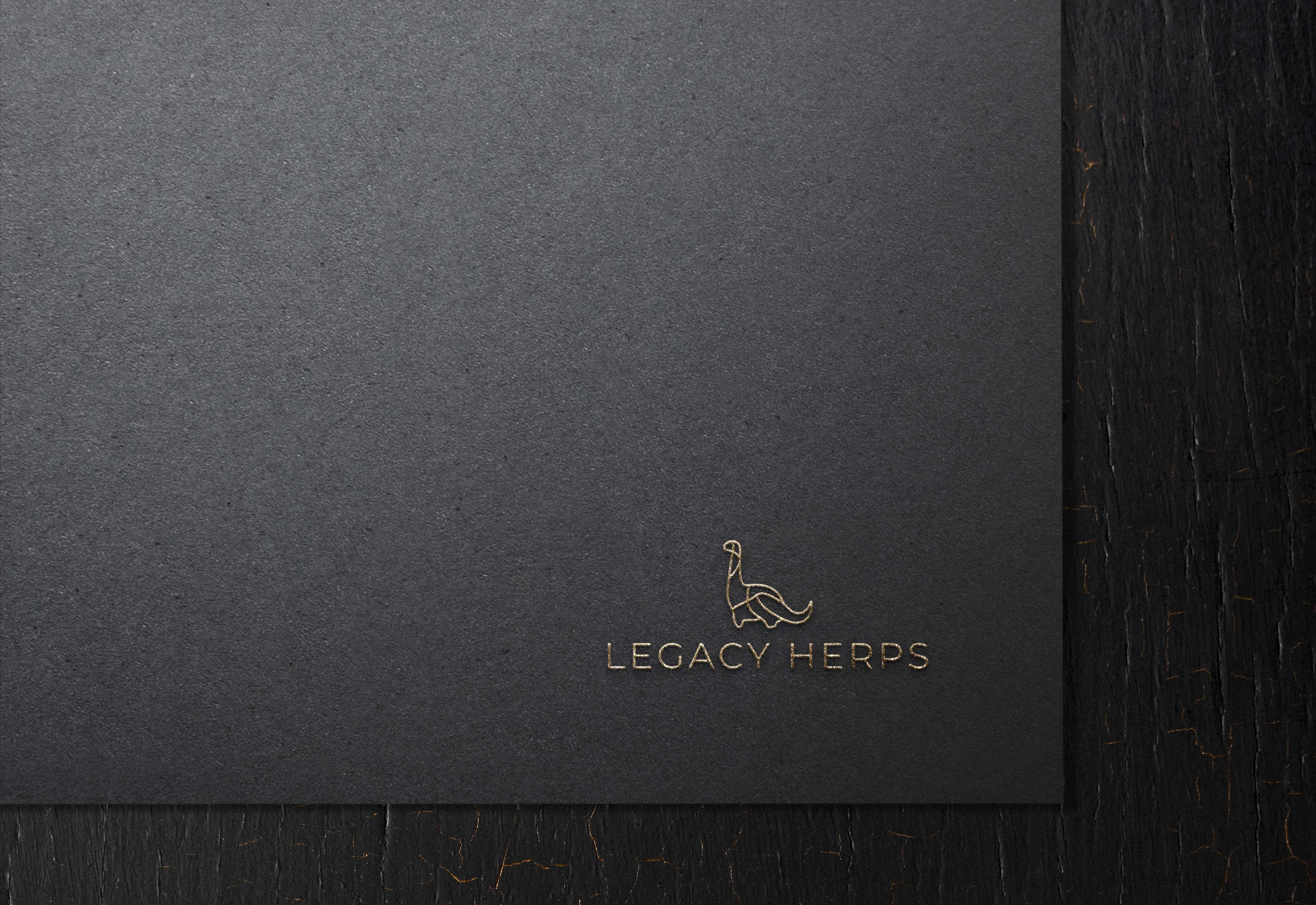 Design de Logo par zeykan pour ce projet | Design #31907345
