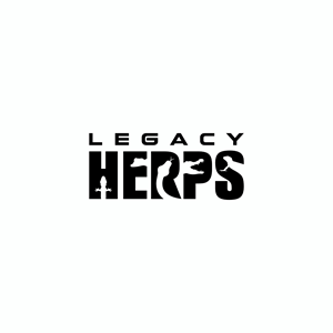 Logo Design by Ashani Bhattacharya for this project | Design #31866036