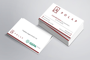Business Card Design by Magic of Art for SIA Poligrafijas Apgads POLAP | Design: #31874048