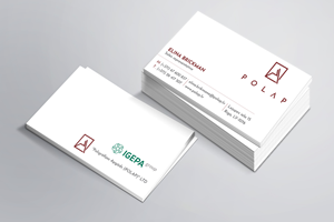 Business Card Design by Magic of Art for SIA Poligrafijas Apgads POLAP | Design: #31874059