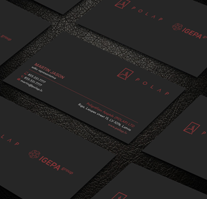 Business Card Design by Sujan4art for SIA Poligrafijas Apgads POLAP | Design: #31889201