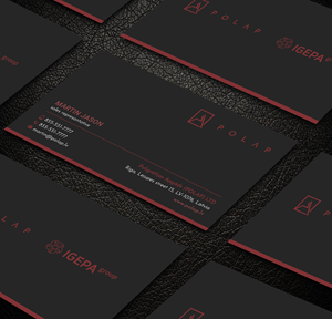 Business Card Design by Sujan4art for SIA Poligrafijas Apgads POLAP | Design: #31889202