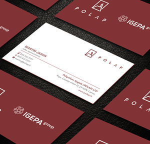 Business Card Design by Sujan4art for SIA Poligrafijas Apgads POLAP | Design: #31889206
