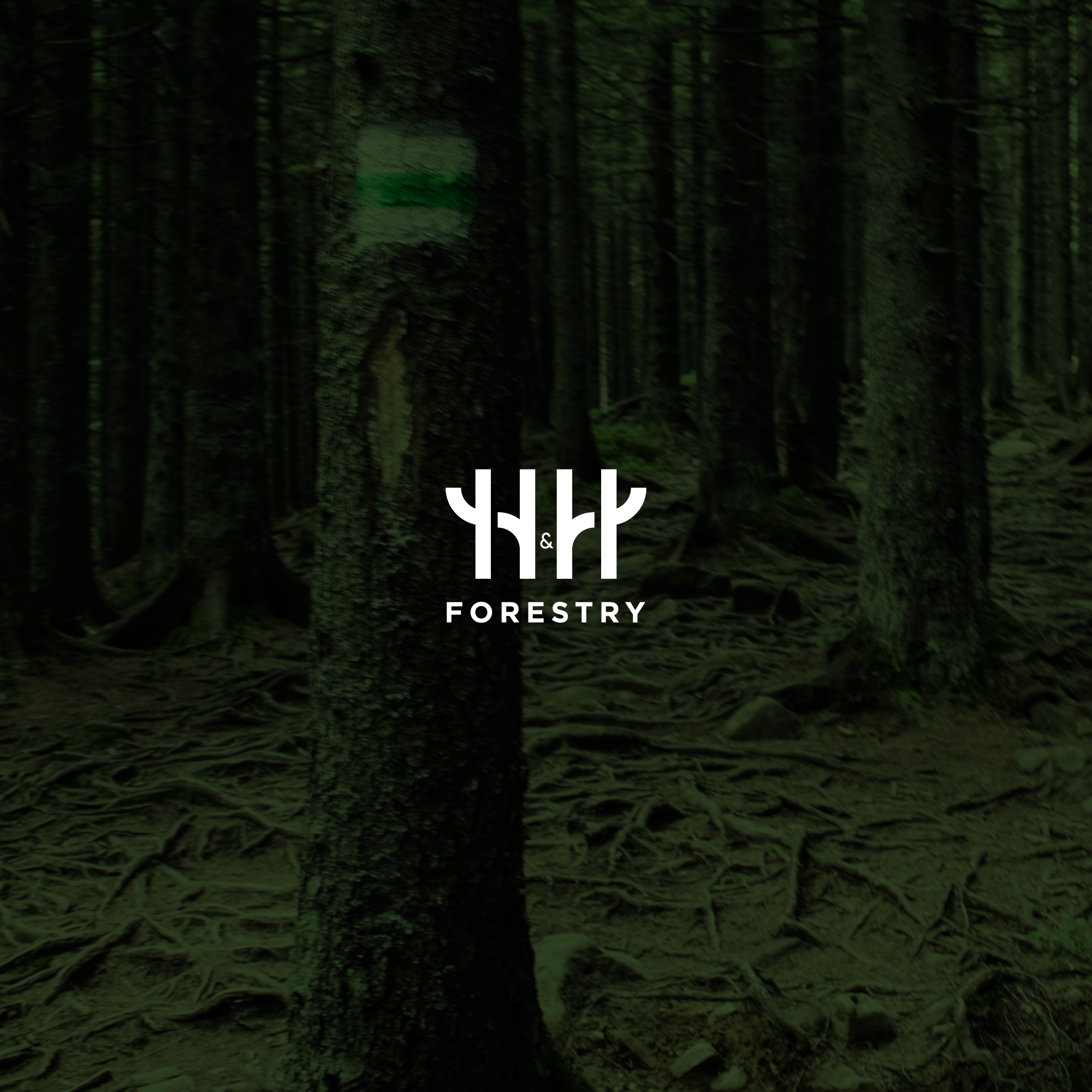 Logo Design by merti.studio for BMM Ltd  | Design #31877813