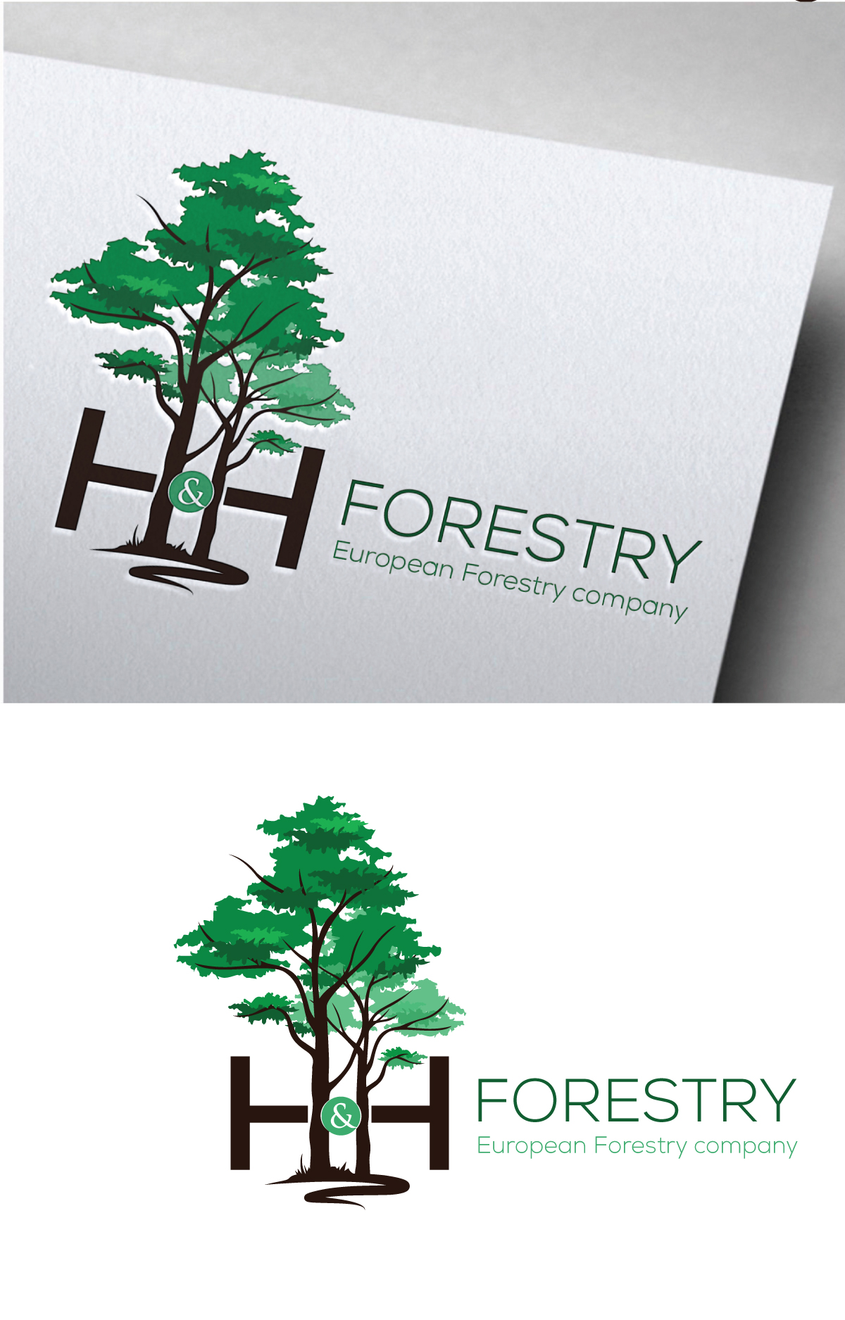 Logo Design by Om Namah Shivay for BMM Ltd  | Design #31875973