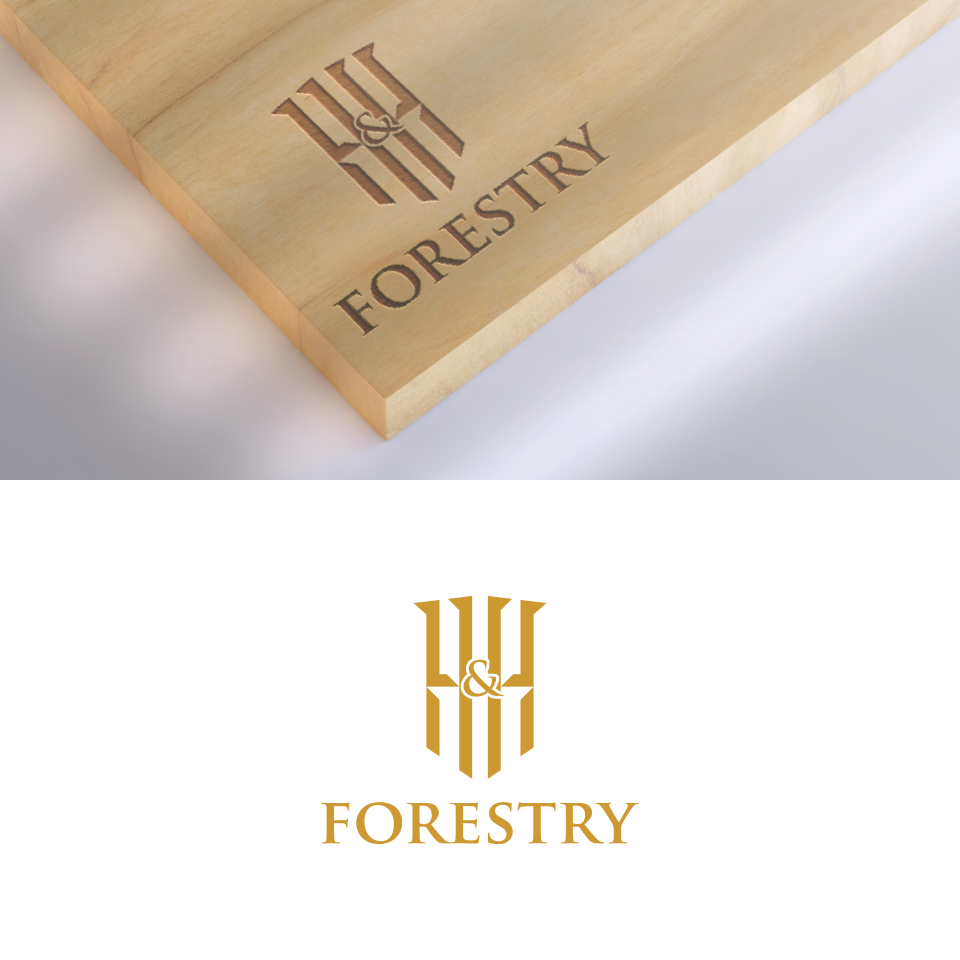 Logo Design by indaha2k for BMM Ltd  | Design #31869720