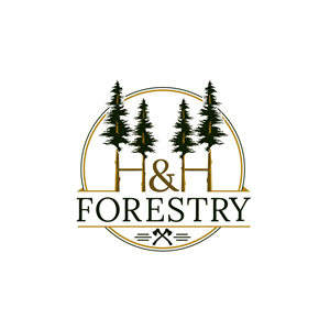 Logo Design by rgb01 for BMM Ltd  | Design: #31907877