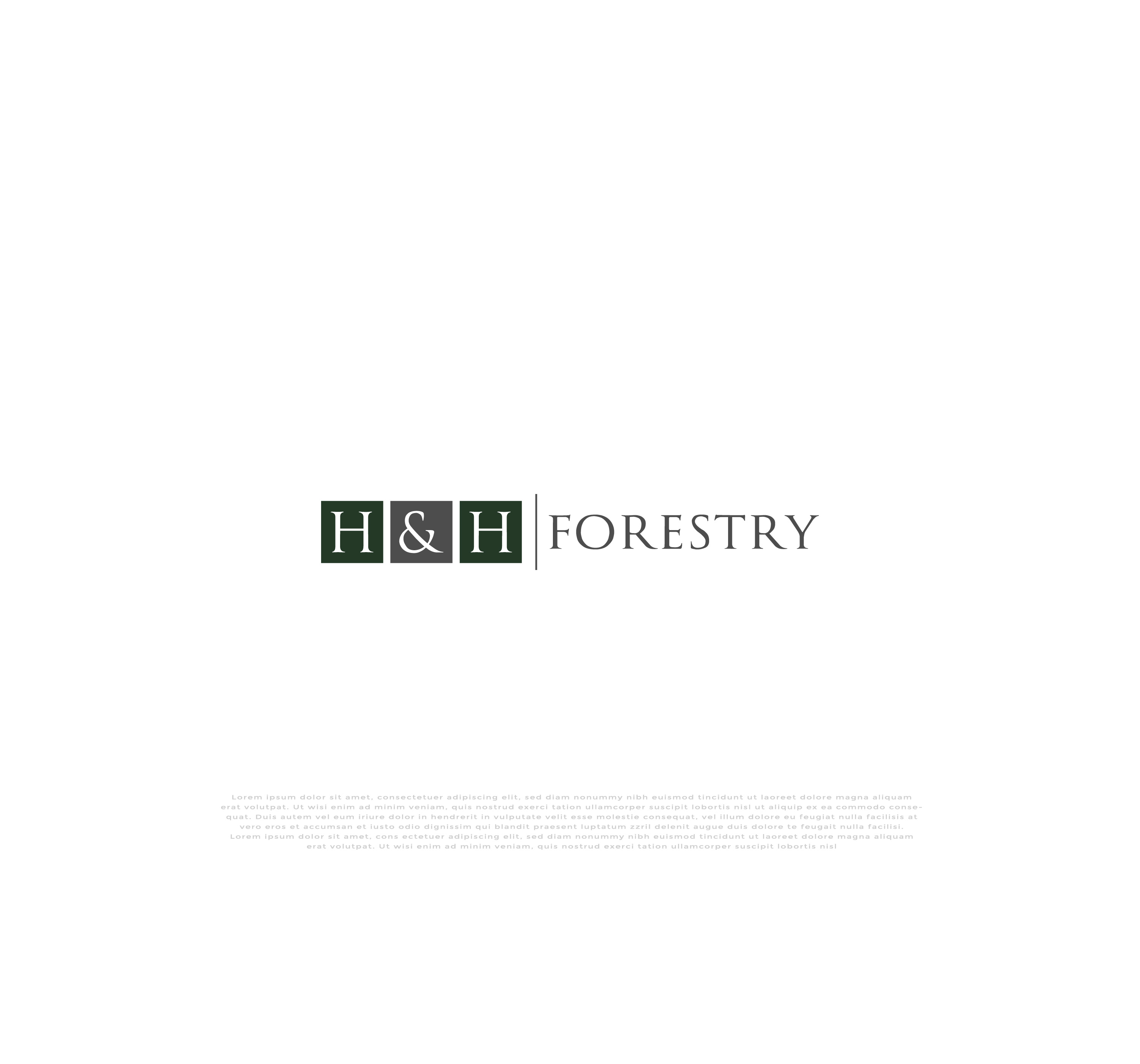 Logo Design by mehedi.h for BMM Ltd  | Design #31890508