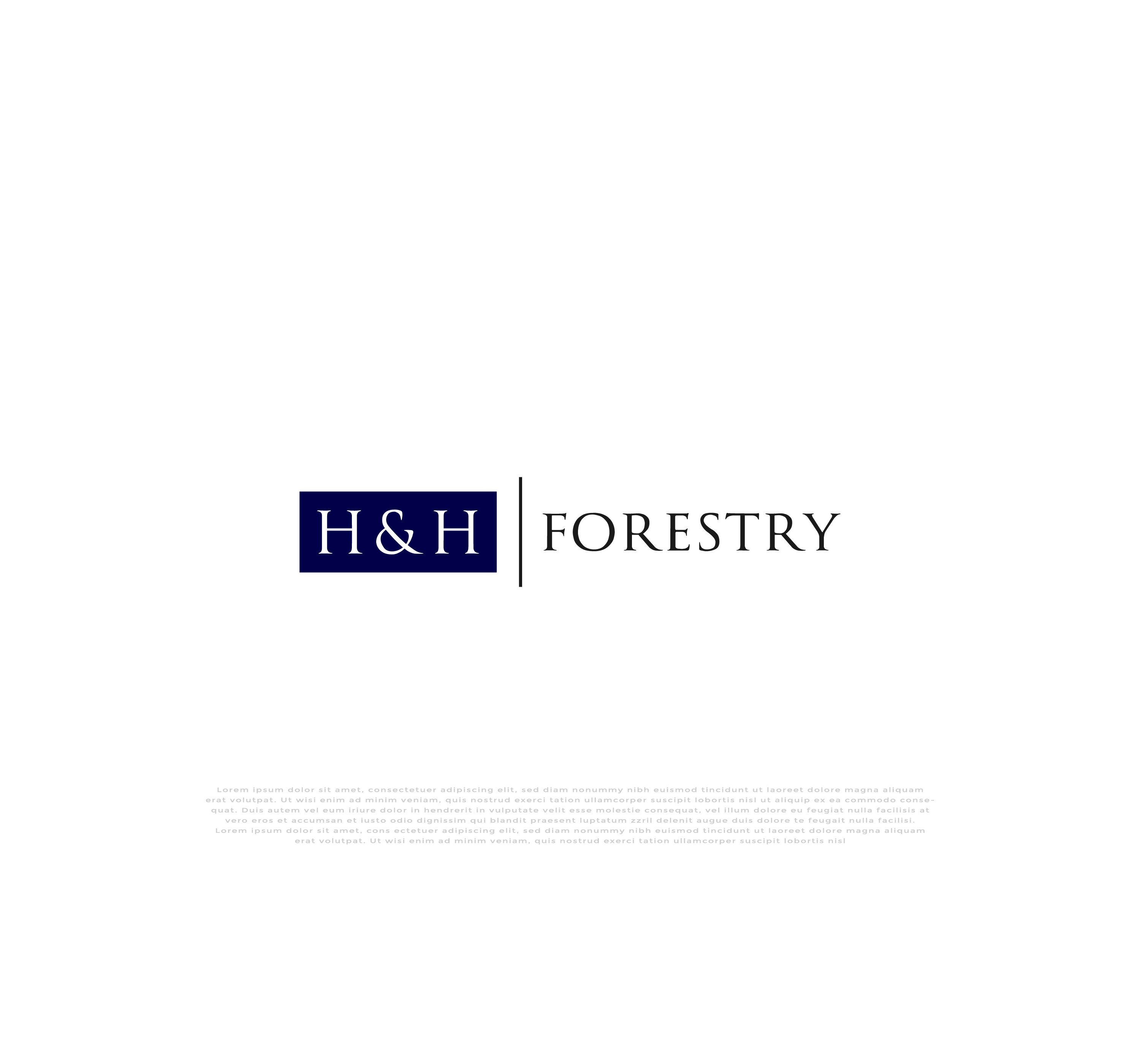 Logo Design by mehedi.h for BMM Ltd  | Design #31913632