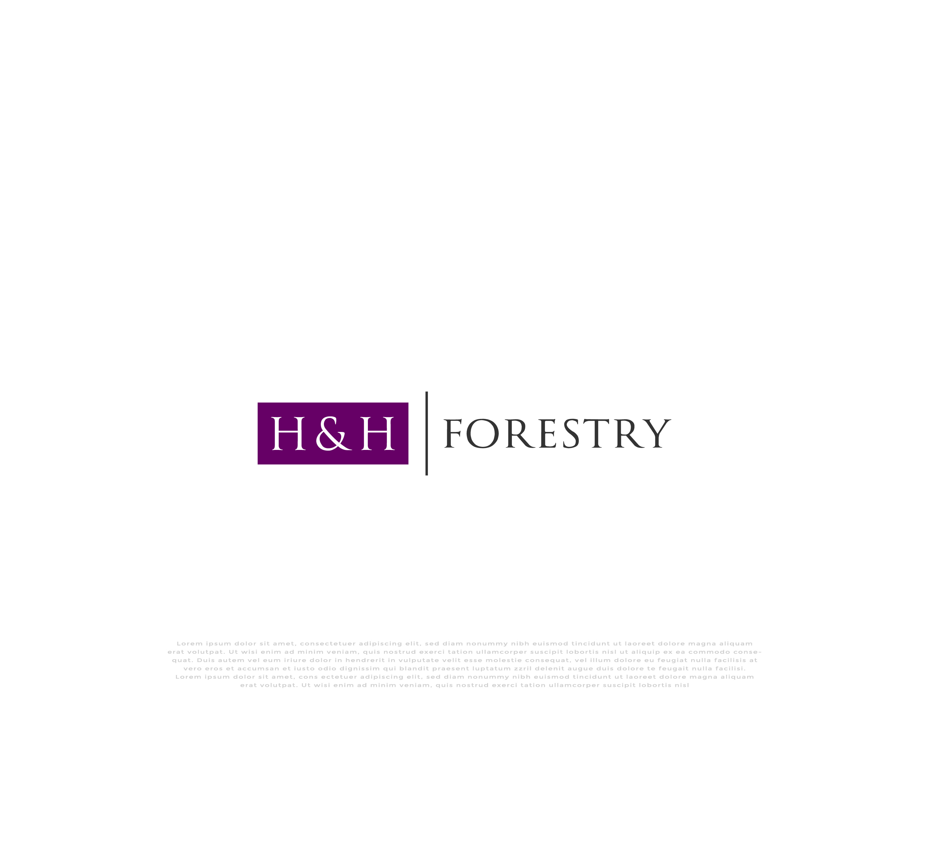 Logo Design by mehedi.h for BMM Ltd  | Design #31913699