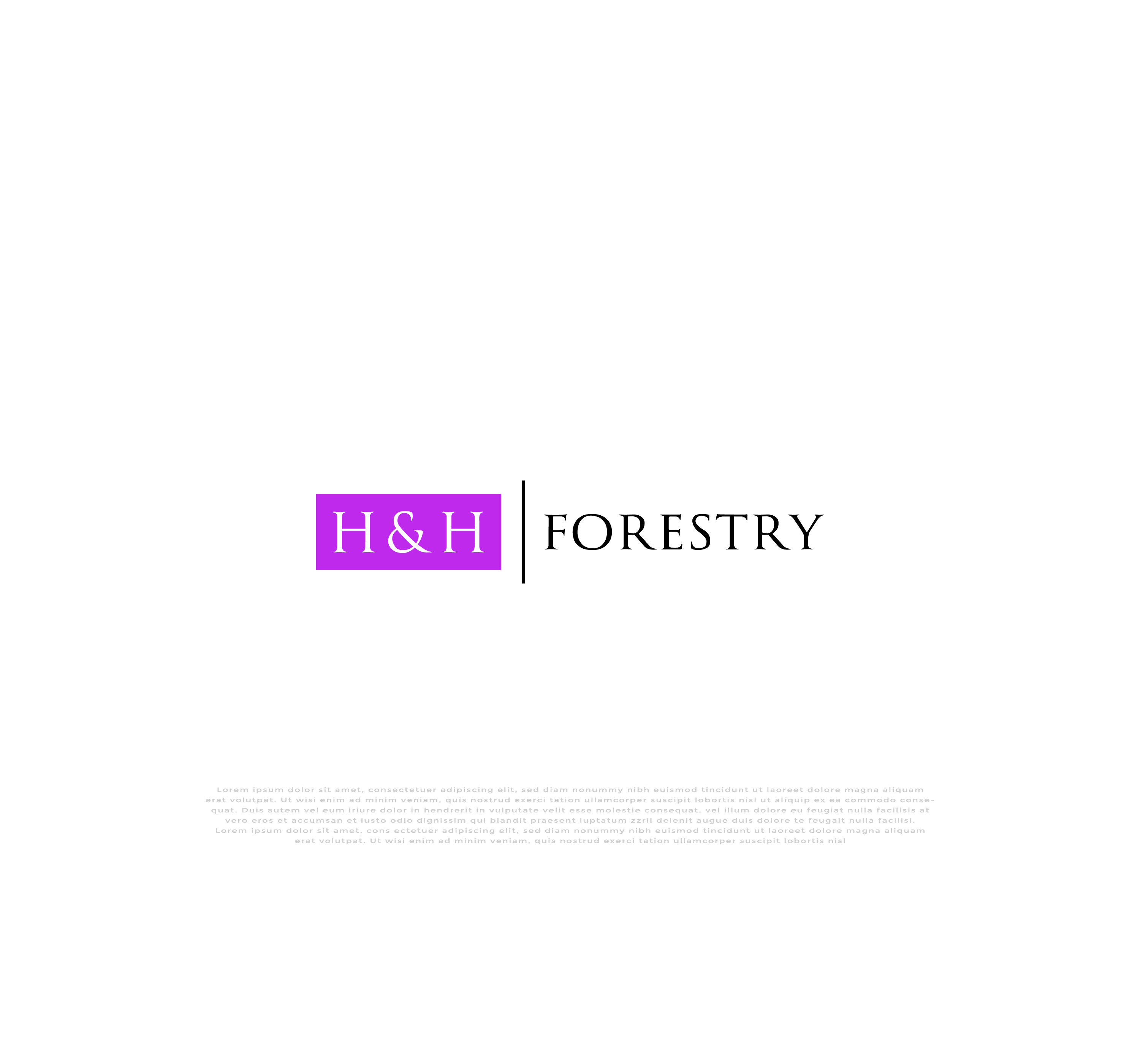 Logo Design by mehedi.h for BMM Ltd  | Design #31913704