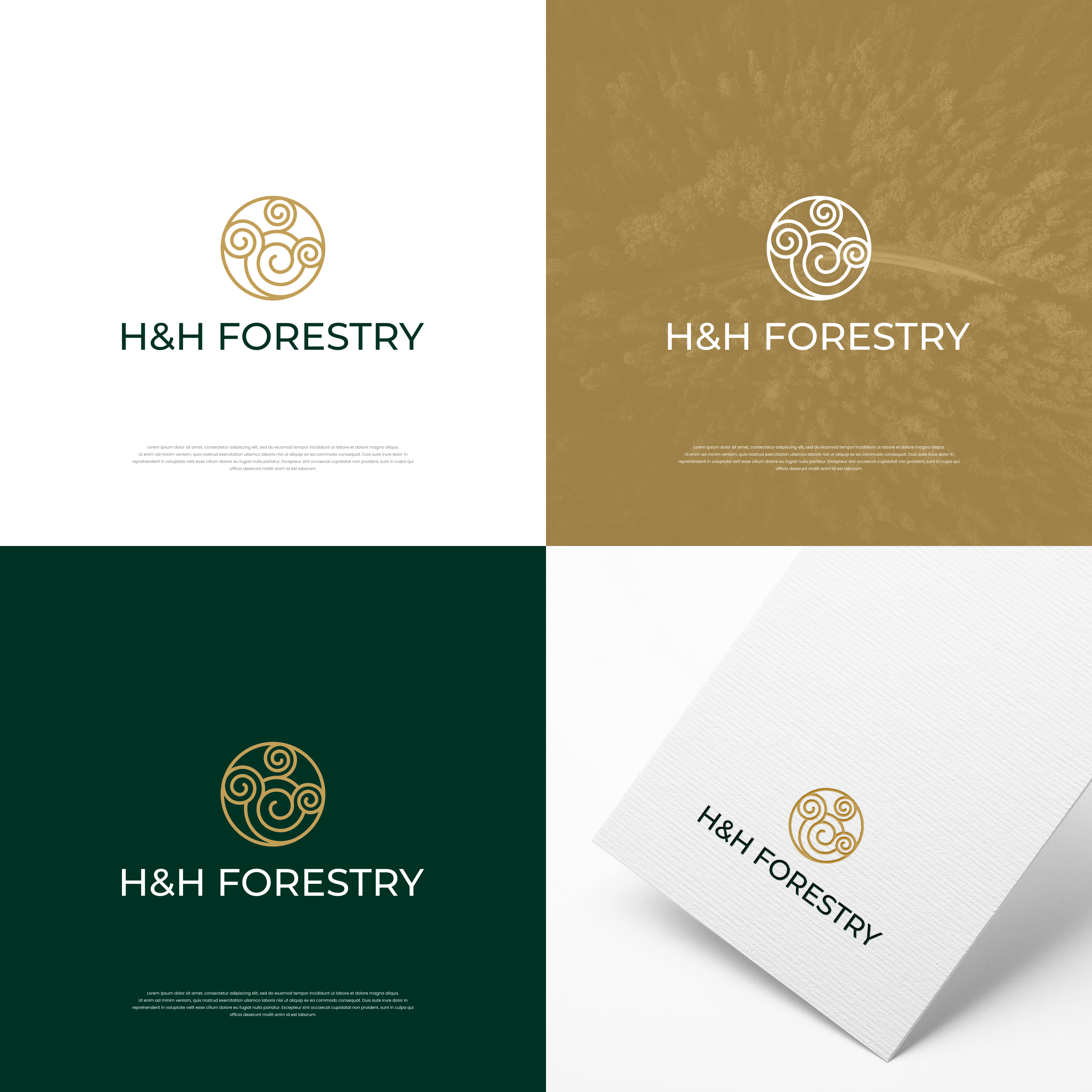 Logo Design by ge.logo for BMM Ltd  | Design #31868146