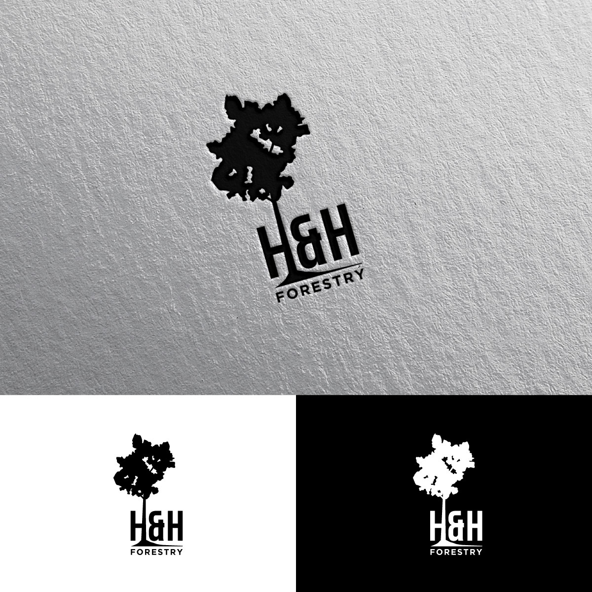 Logo Design by chris Ray for BMM Ltd  | Design #31867235