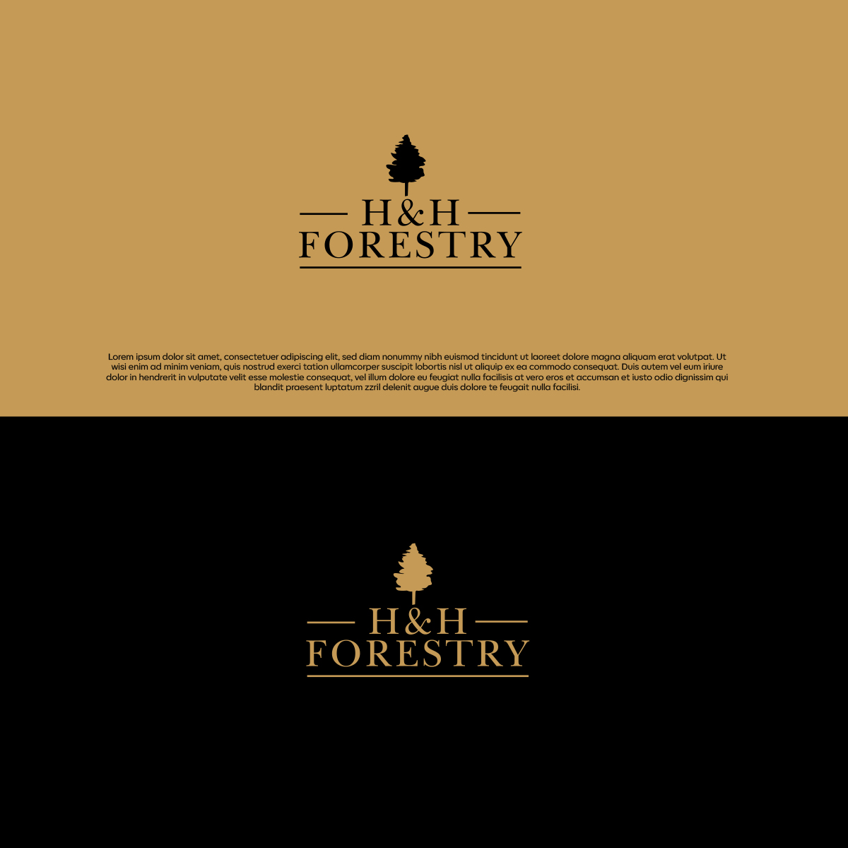 Logo Design by DesignSNW for BMM Ltd  | Design #31902164