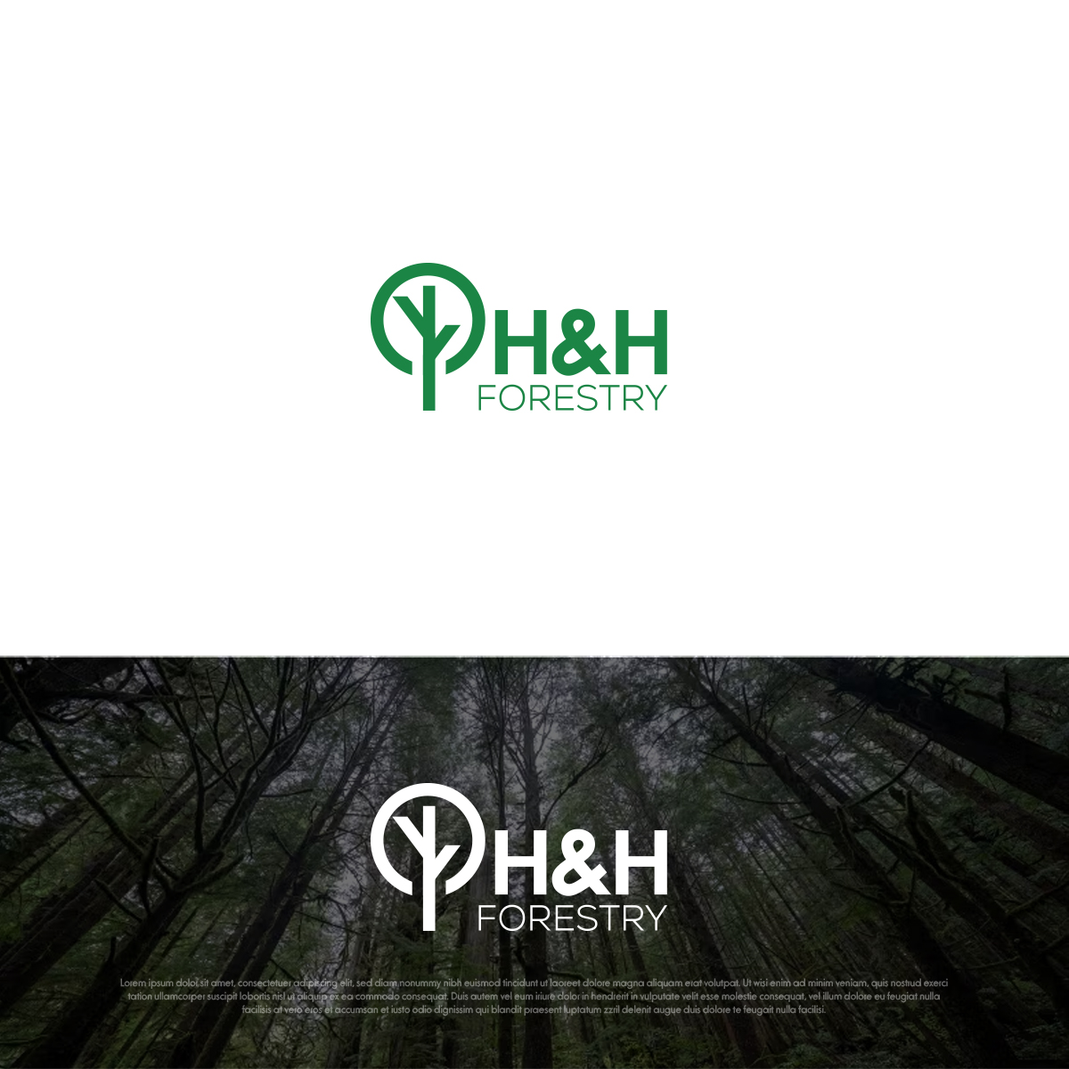 Logo Design by DesignSNW for BMM Ltd  | Design #31910879