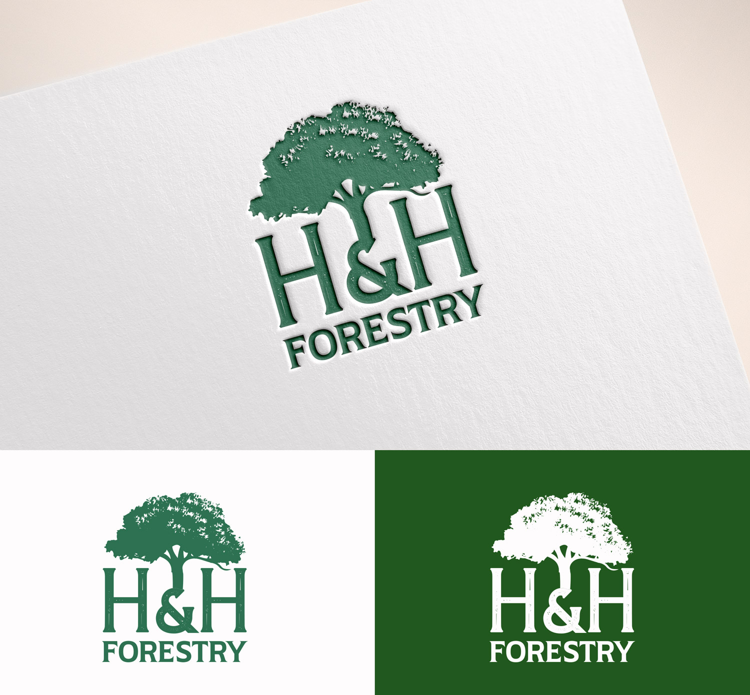 Logo Design by M Art & Design for BMM Ltd  | Design #31867334