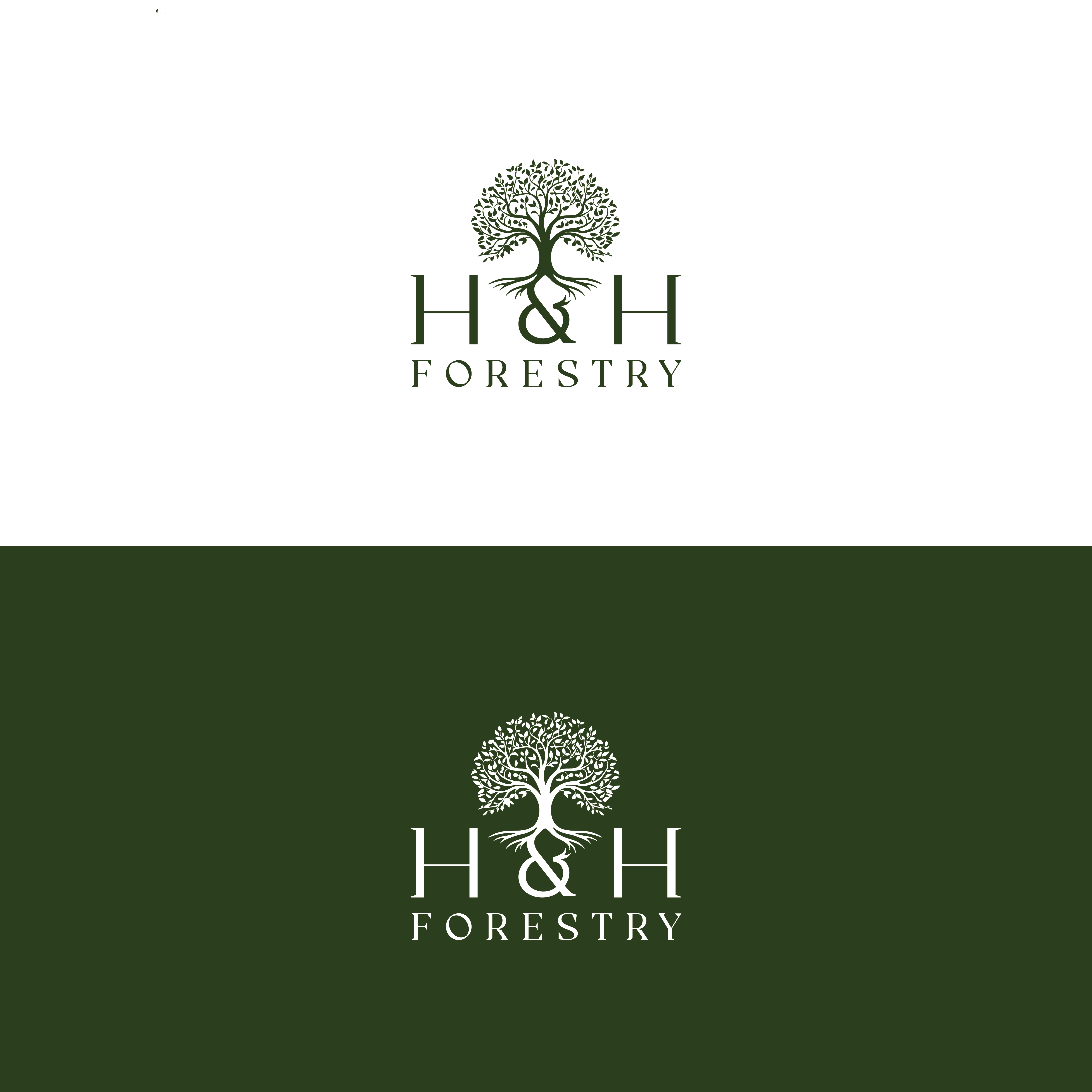 Logo Design by TDAC for BMM Ltd  | Design #31869883