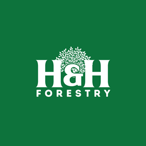 Design de Logo par Chas Designs pour BMM Ltd  | Design : #31911919