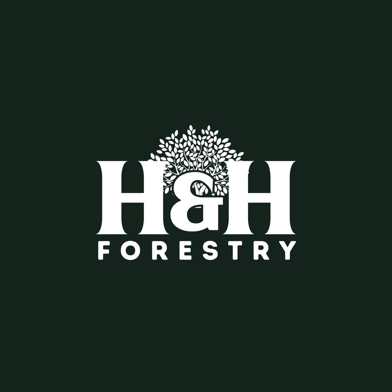 Logo Design by Chas Designs for BMM Ltd  | Design #31911920