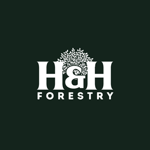 Design de Logo par Chas Designs pour BMM Ltd  | Design : #31911920