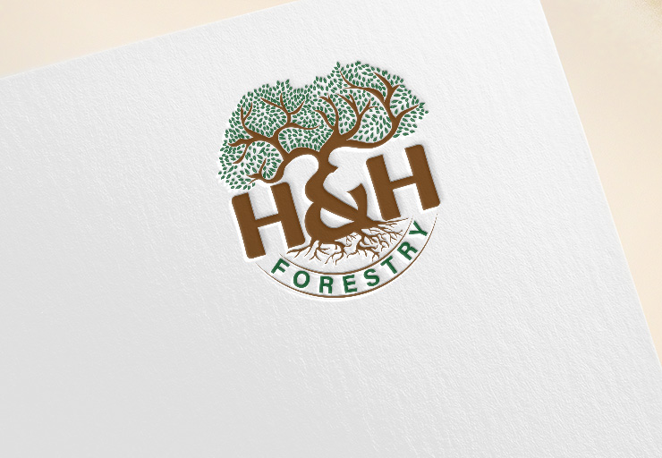 Design de Logo par Pilot_DesignR™ pour BMM Ltd  | Design #31875860